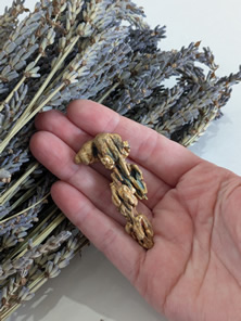lavendar casing with jesse